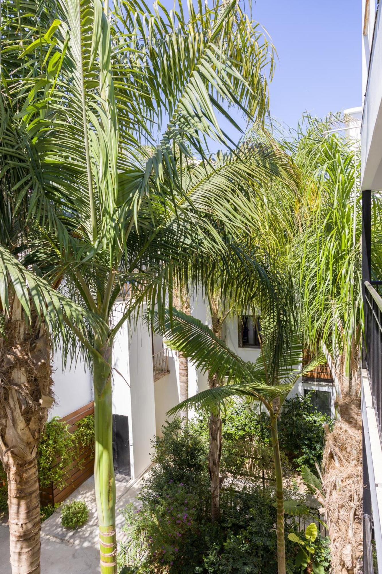 Alecos Hotel Apartments Paphos Exteriör bild